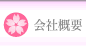 ЊTv
